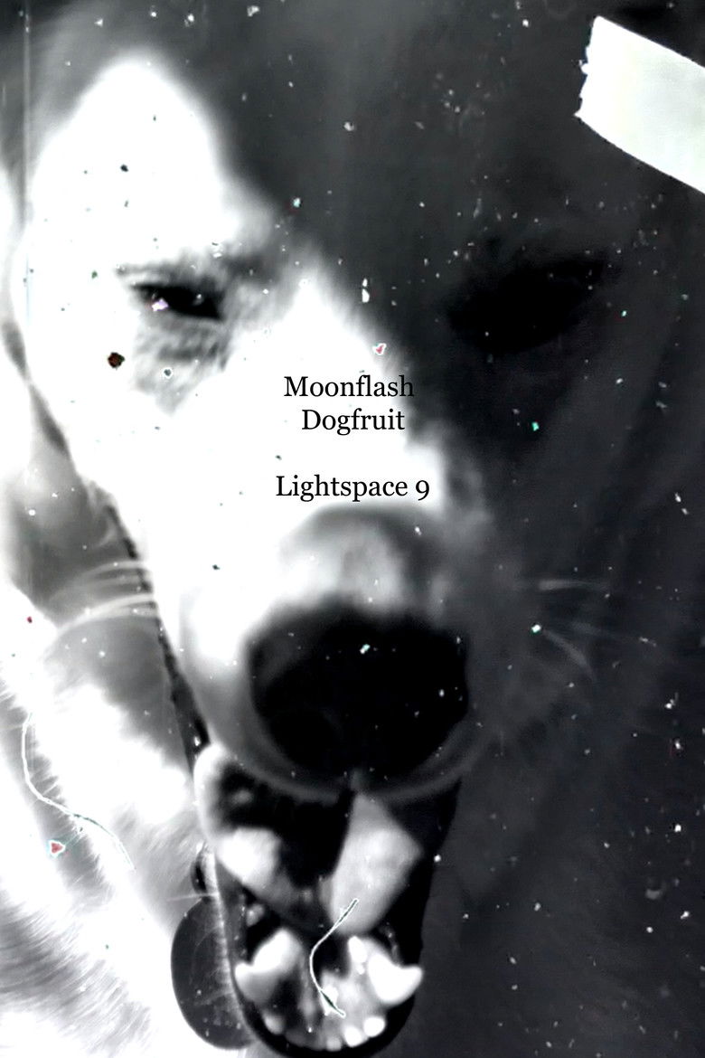 Poster of Moonflash Dogfruit