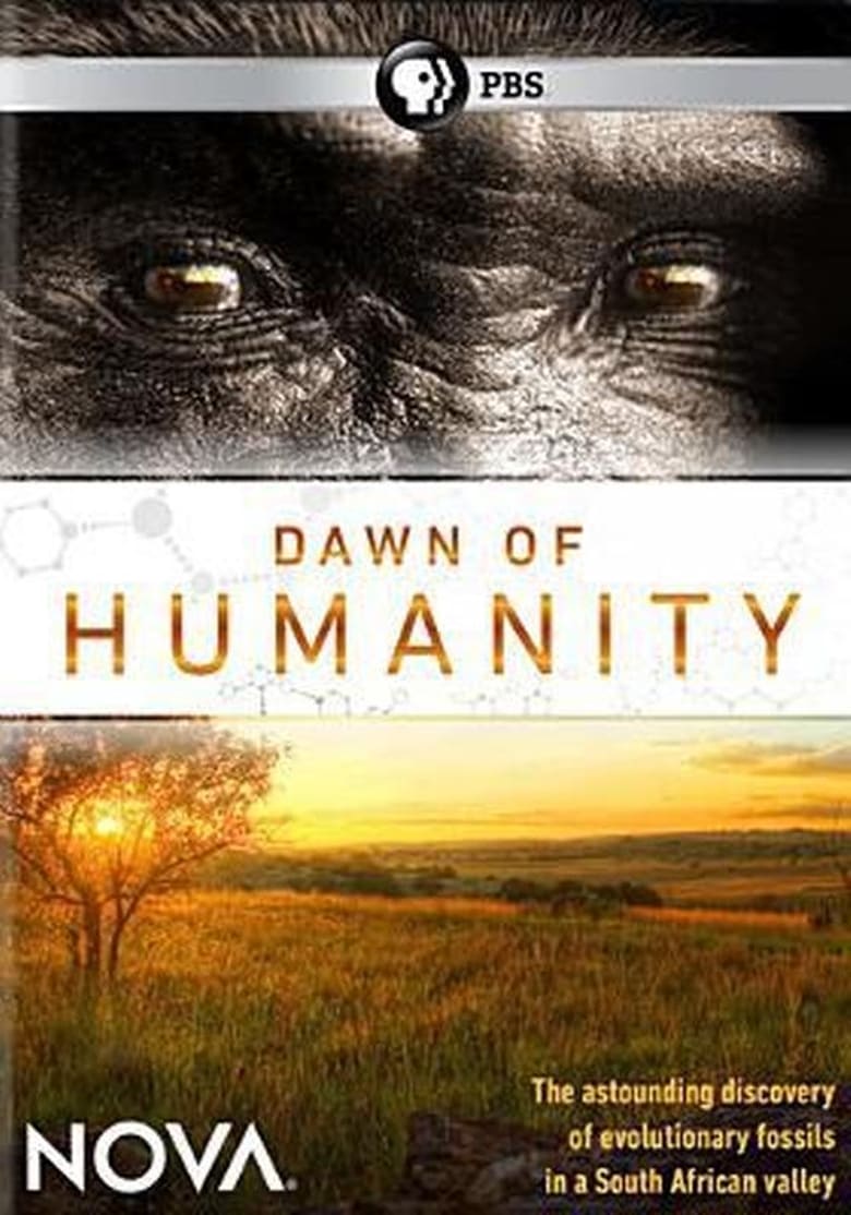 Poster of Dawn of Humanity