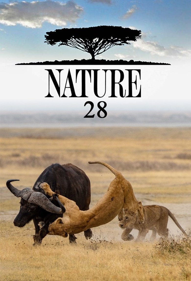 Poster of Cast and Crew in Nature - Fellowship of the Whales (Season 28 - Episode 4) - Fellowship of the Whales