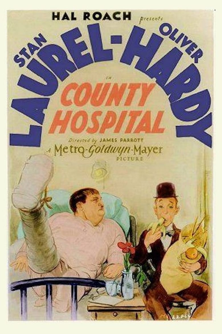 Poster of County Hospital