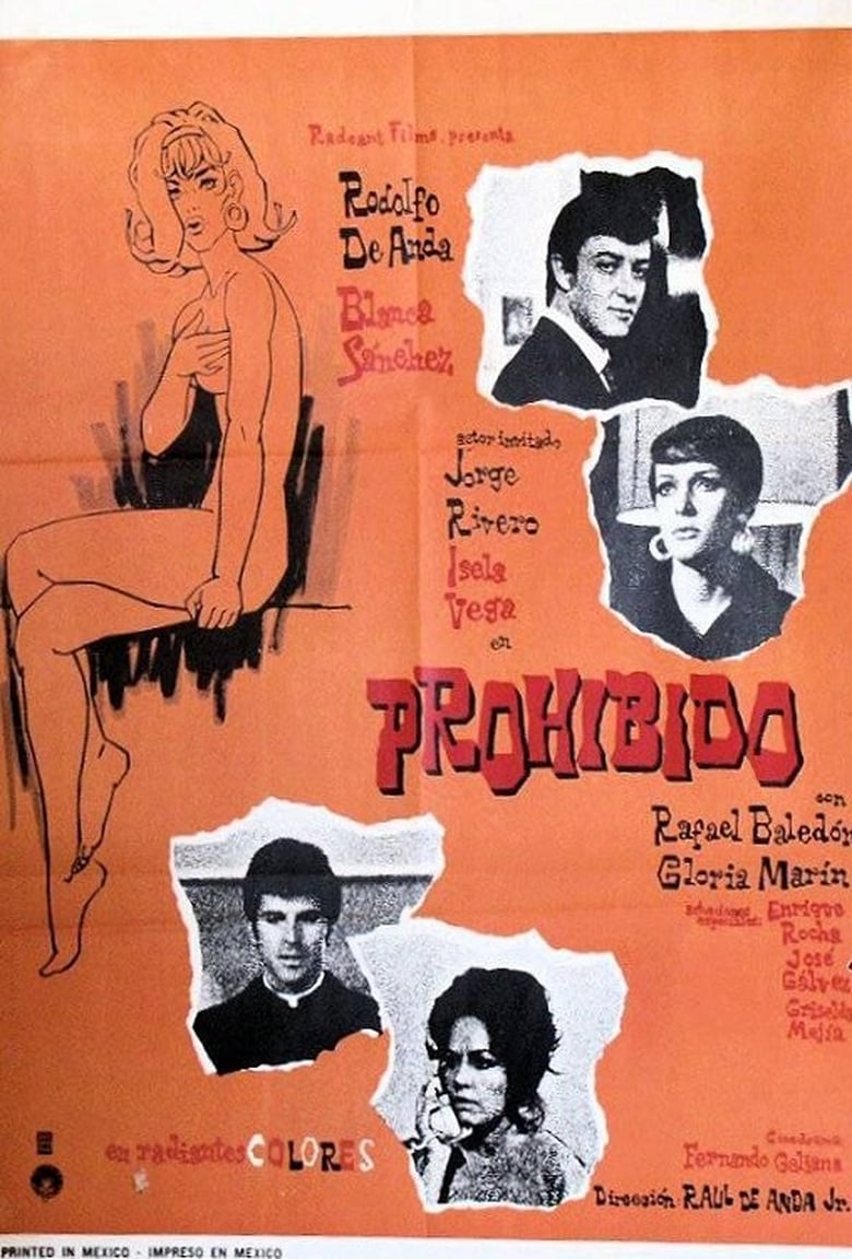 Poster of Prohibido