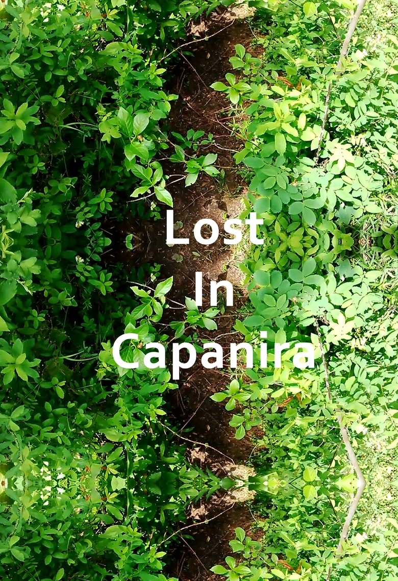 Poster of Lost In Capanira