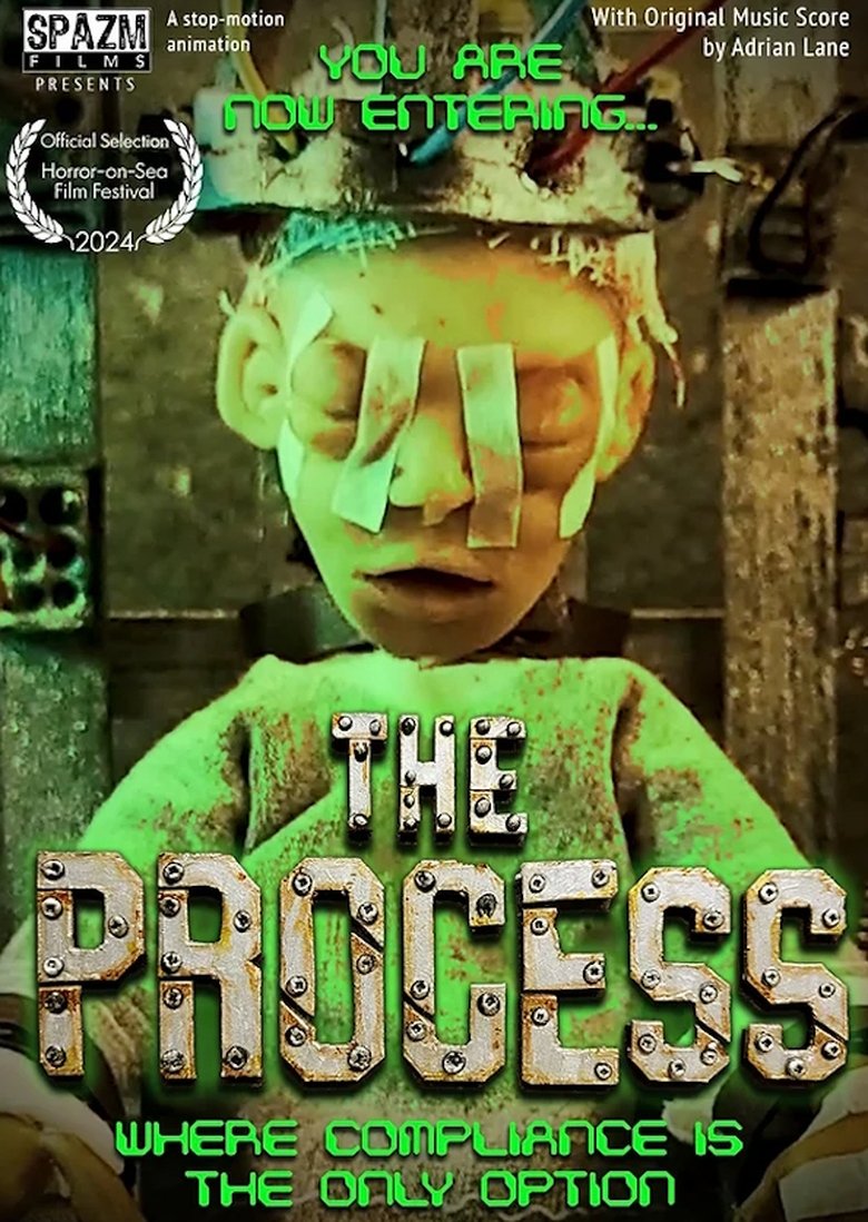 Poster of The Process