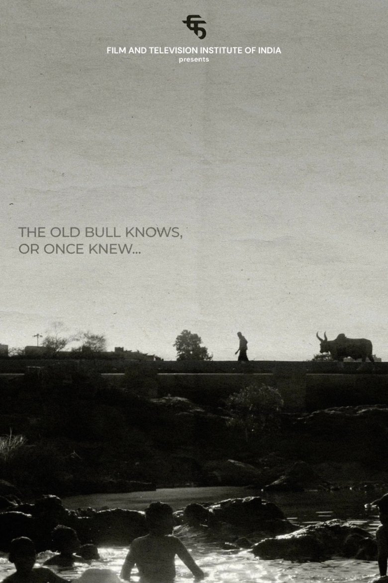Poster of The Old Bull knows, or Once Knew