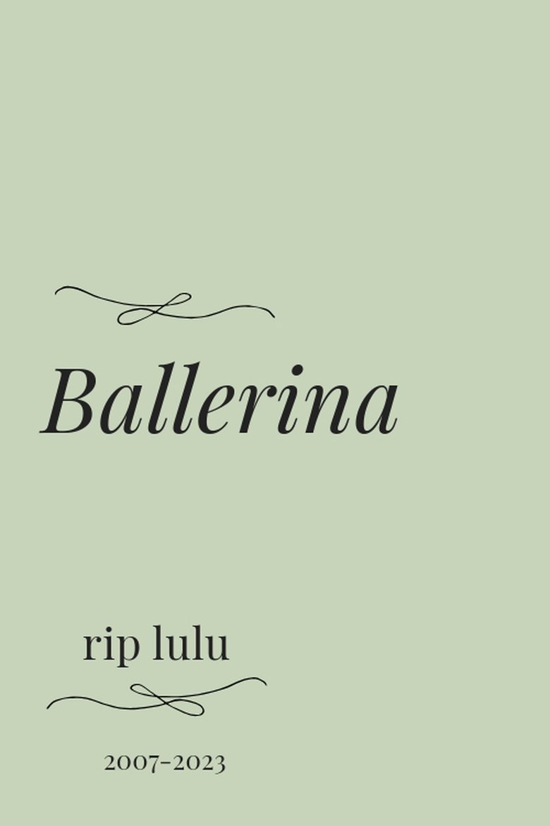Poster of Ballerina