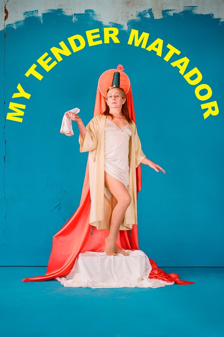 Poster of My Tender Matador