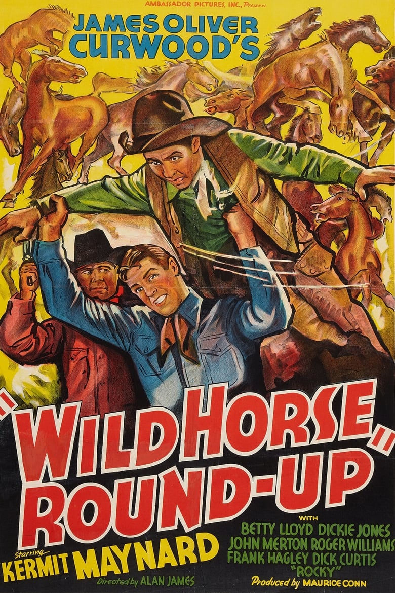 Poster of Wild Horse Round-Up
