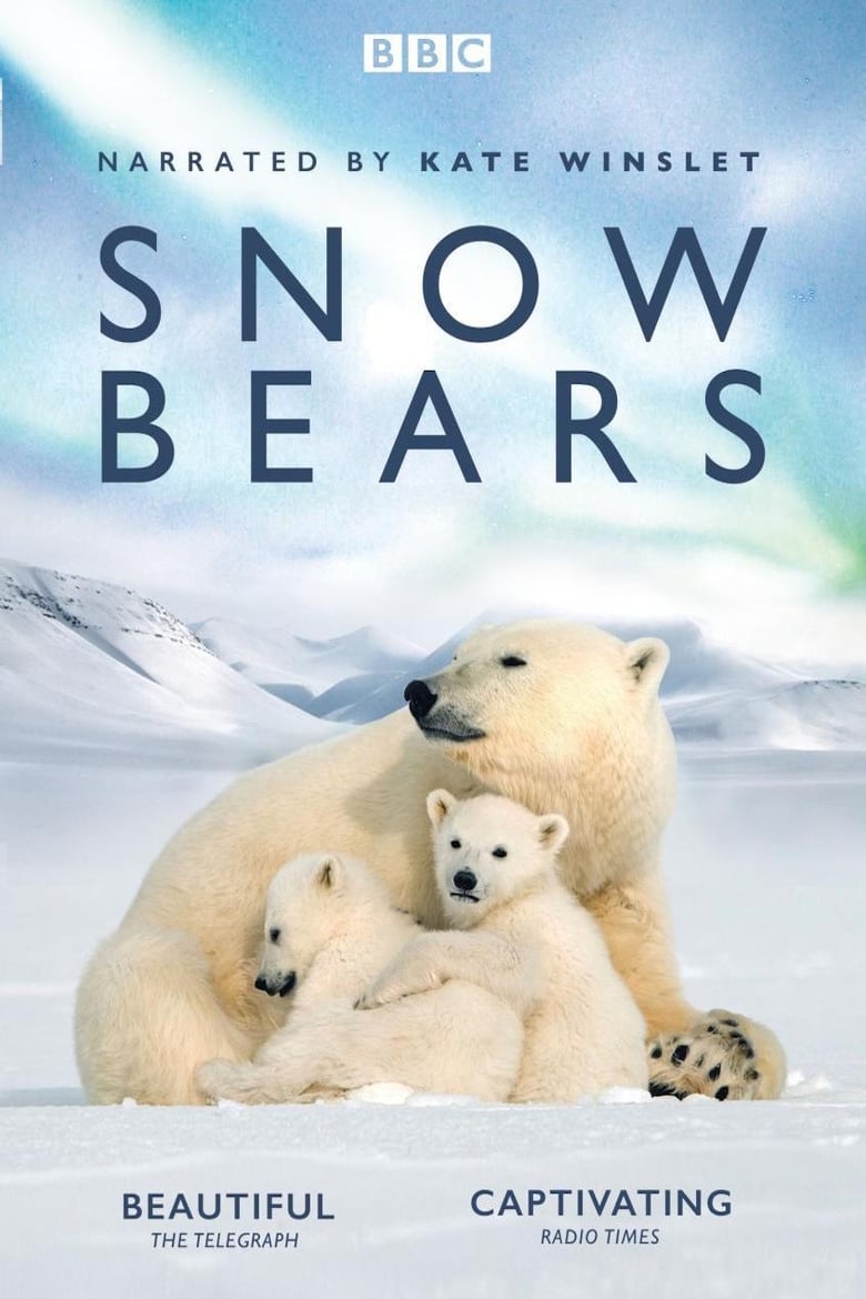 Poster of Snow Bears