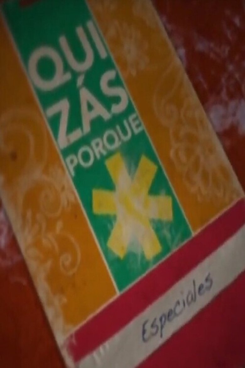 Poster of Gustavo Cerati - Especial Quizás Porque