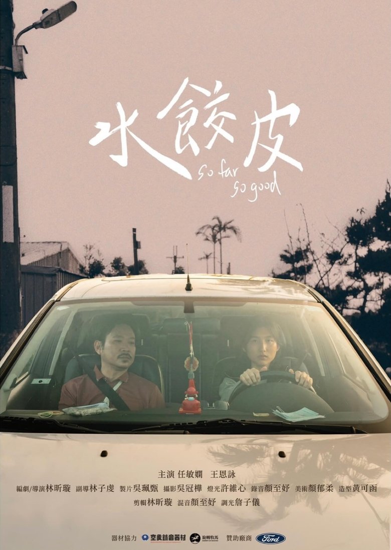 Poster of So Far So Good