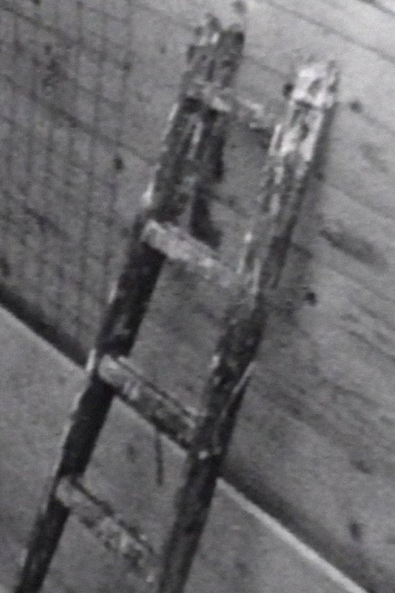 Poster of Wall