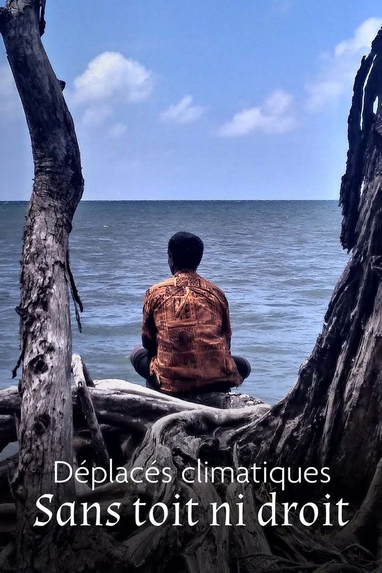 Poster of Déplacés climatiques : sans toit ni droit