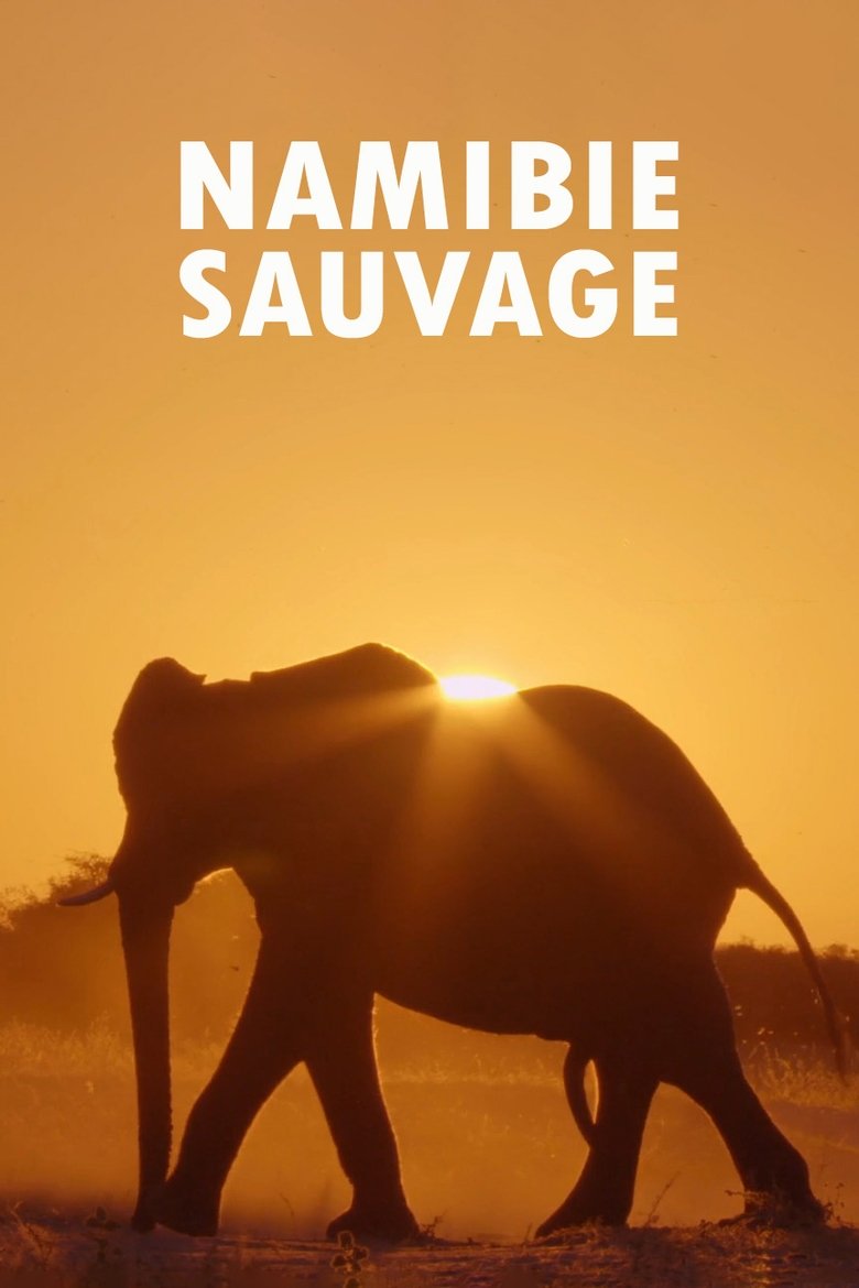 Poster of Episodes in Namibia’s Natural Wonders - Season 1 - Season 1