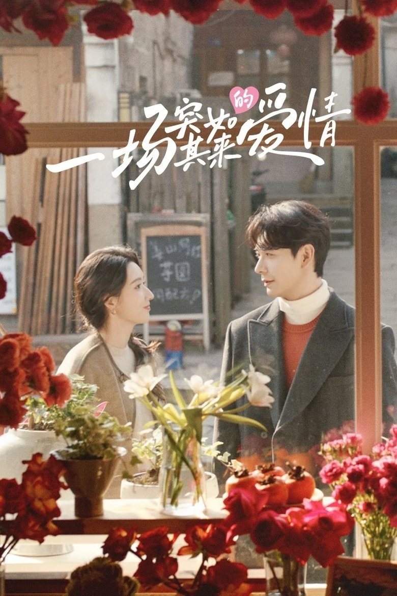 Poster of Episodes in 一场突如其来的爱情 - Season 1 - Season 1