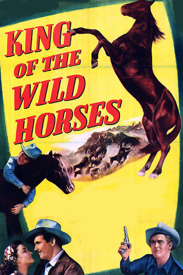 Poster of King of the Wild Horses