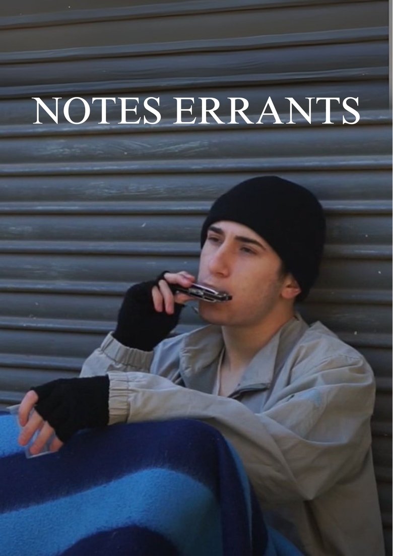 Poster of Notes errants