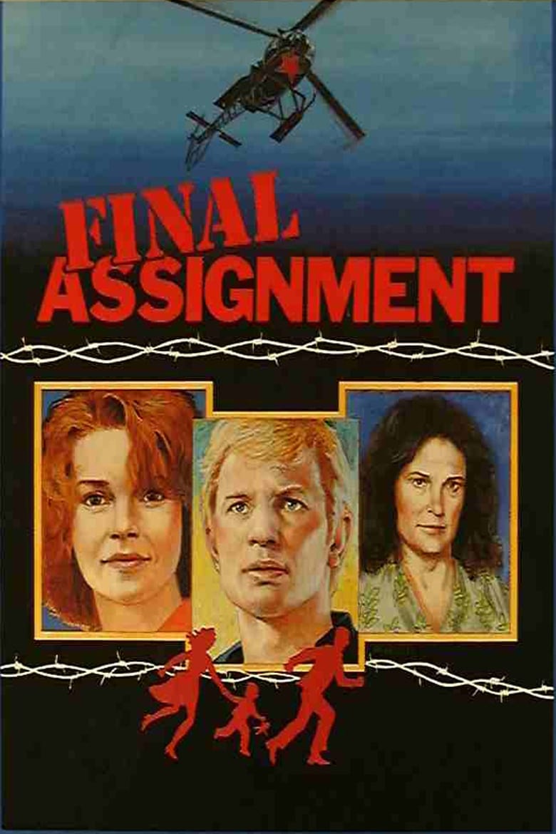 Poster of Final Assignment