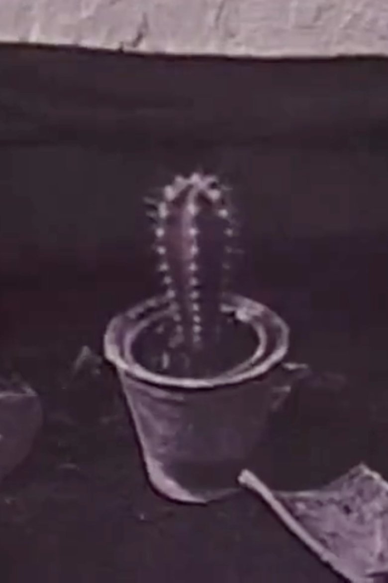 Poster of Cactus