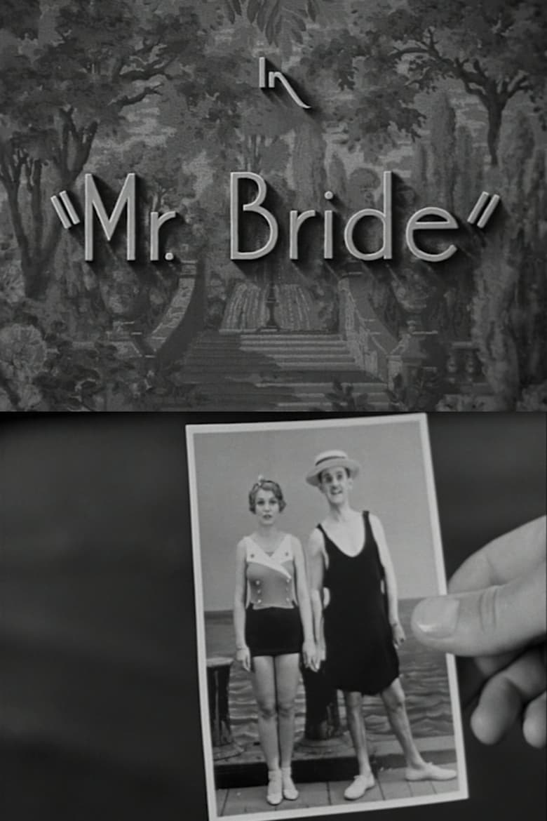 Poster of Mr. Bride