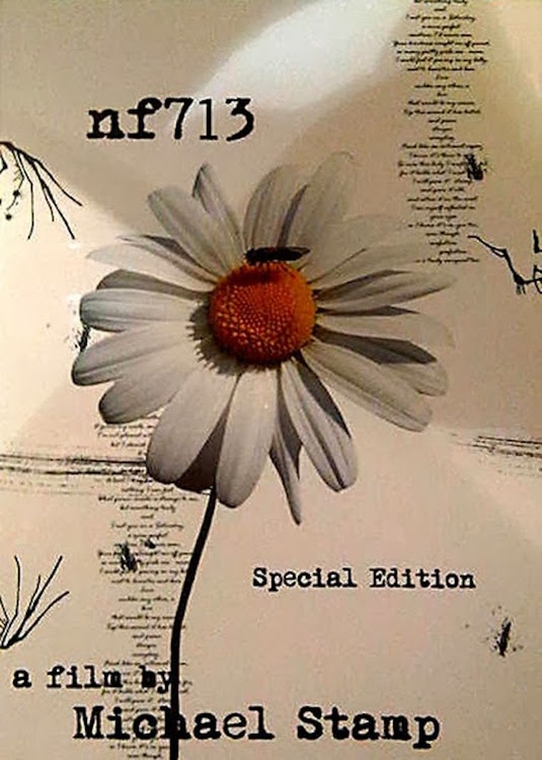 Poster of Nf713
