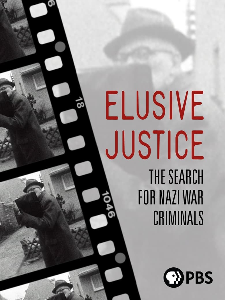 Poster of Elusive Justice