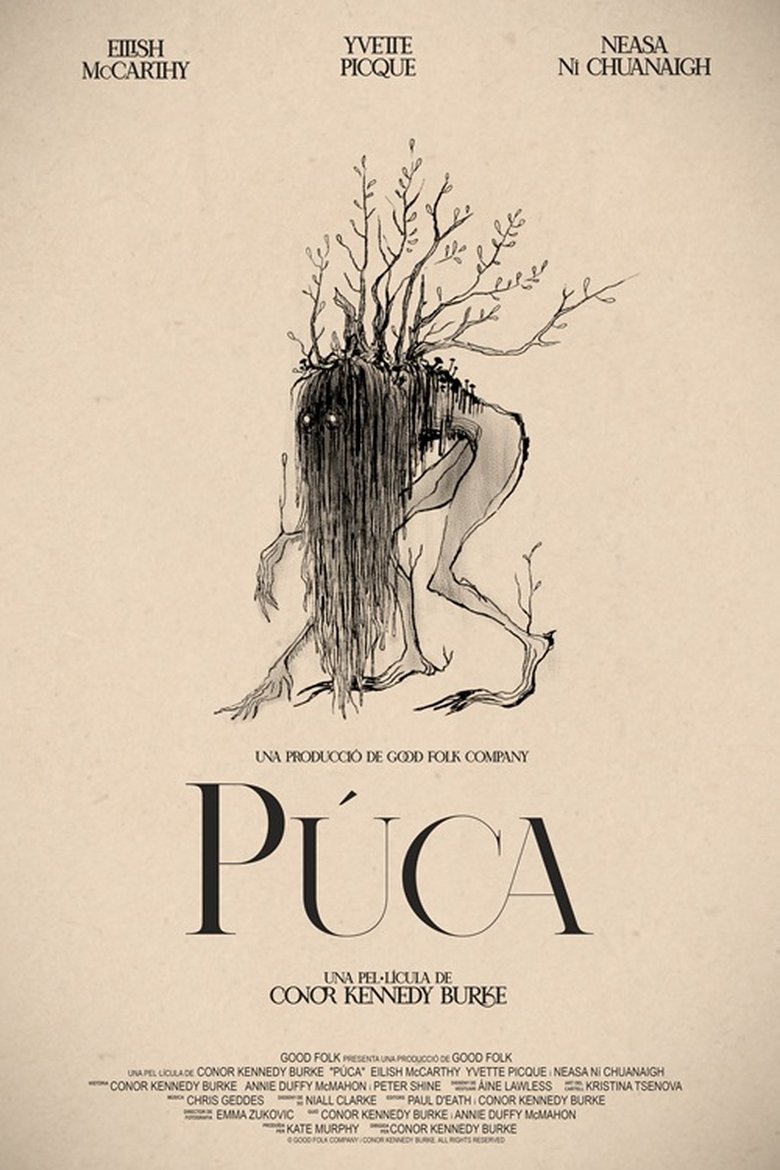 Poster of Púca