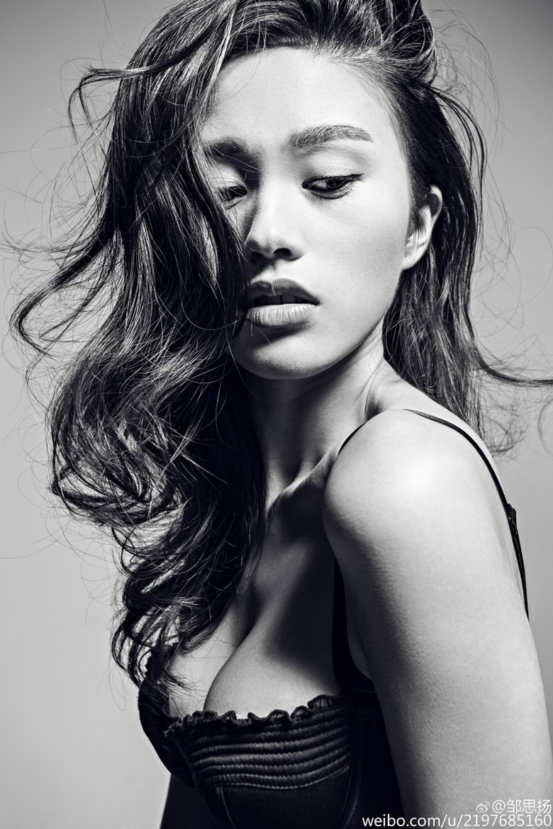 Portrait of Zou Siyang
