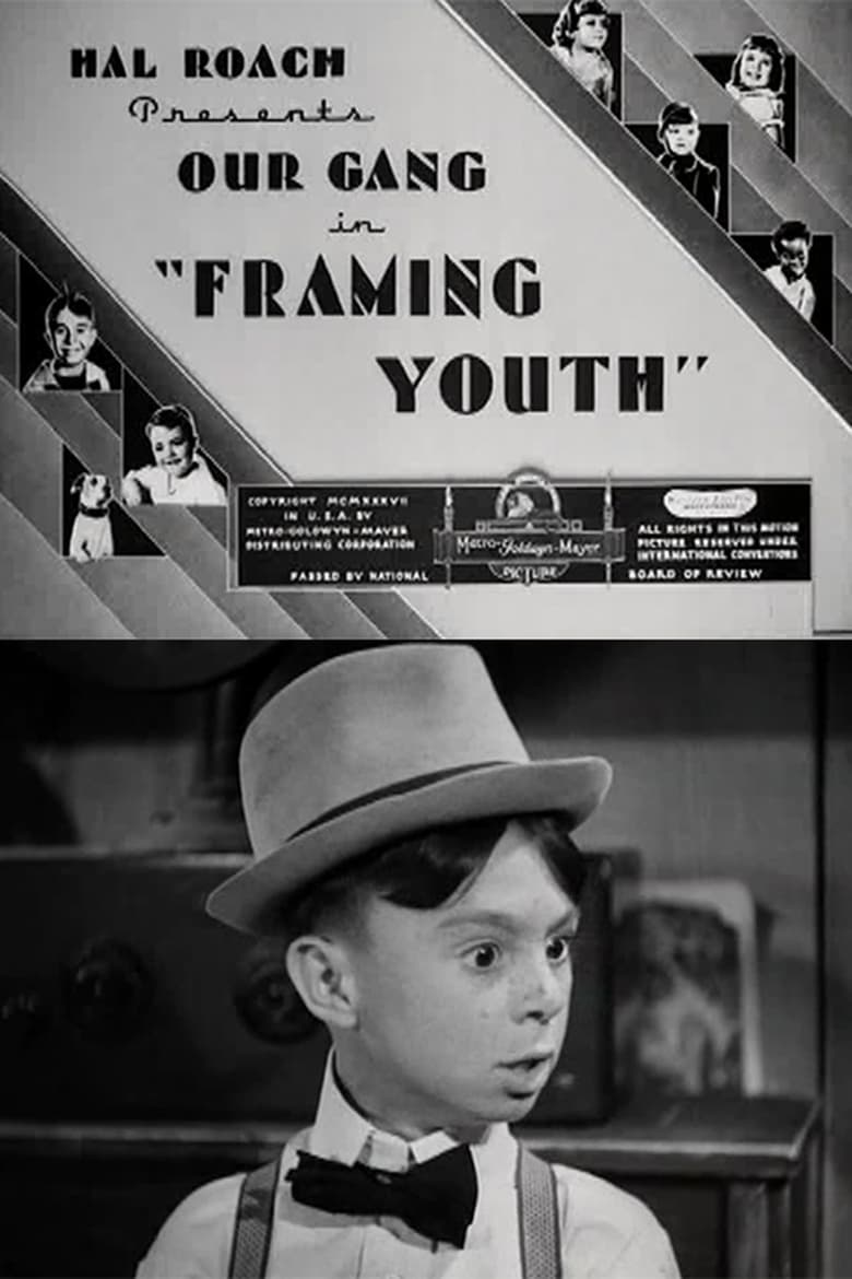 Poster of Framing Youth