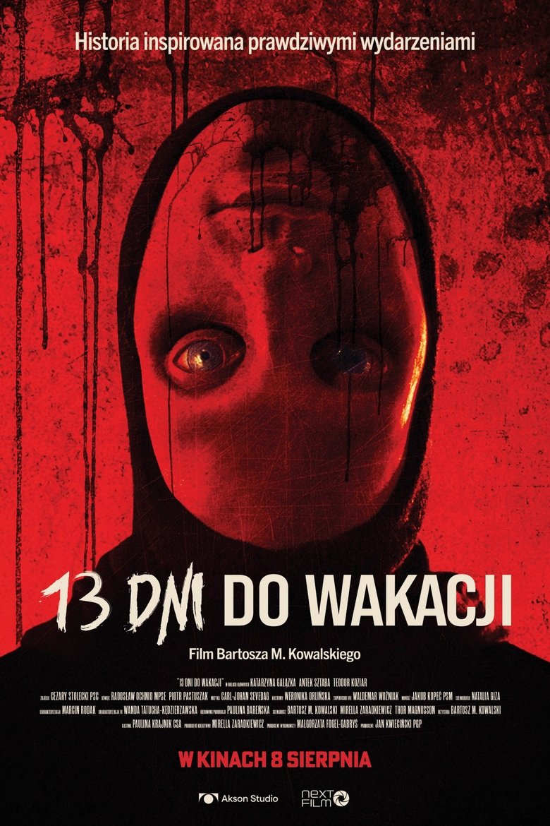 Poster of 13 Days Till Summer