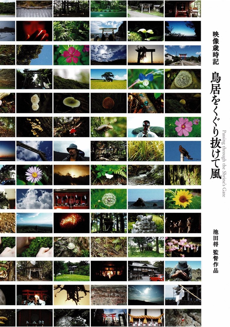 Poster of Passing through the Shrine's Gate