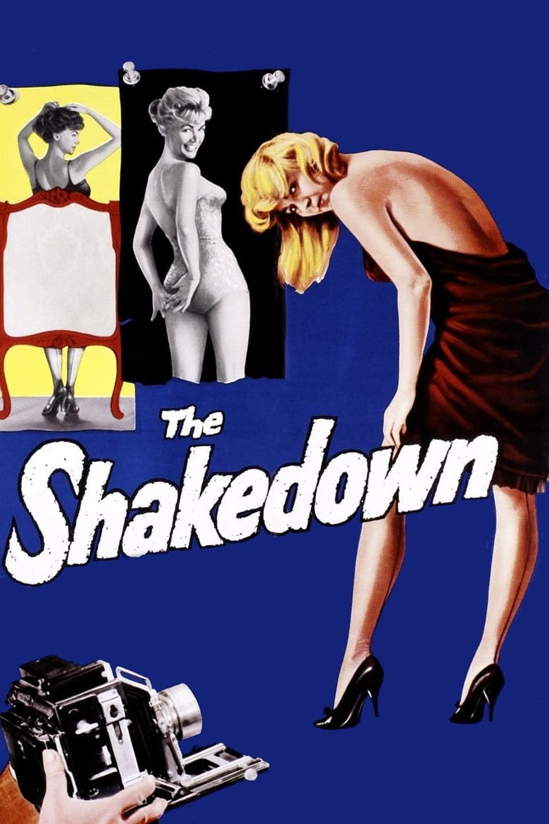 Poster of The Shakedown