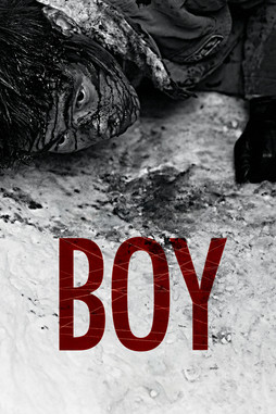 Poster of Boy