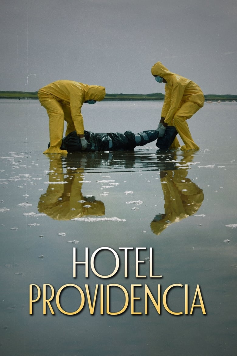 Poster of Hotel Providencia