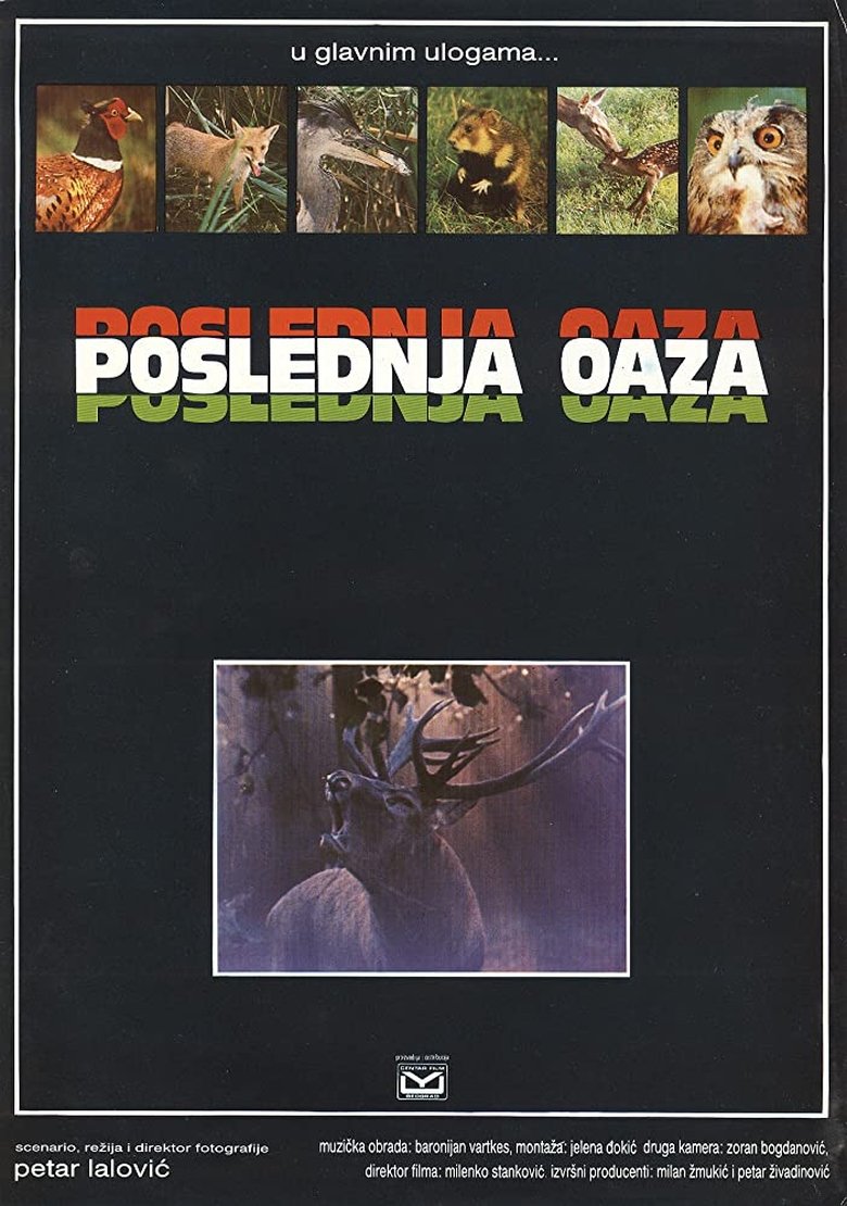 Poster of The Last Oasis