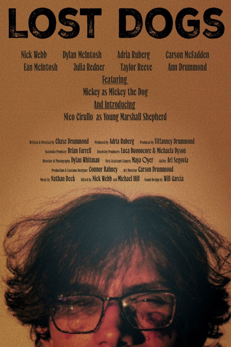Poster of Lost Dogs