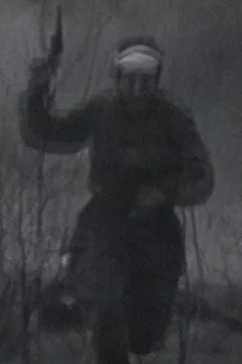 Poster of The Documentary