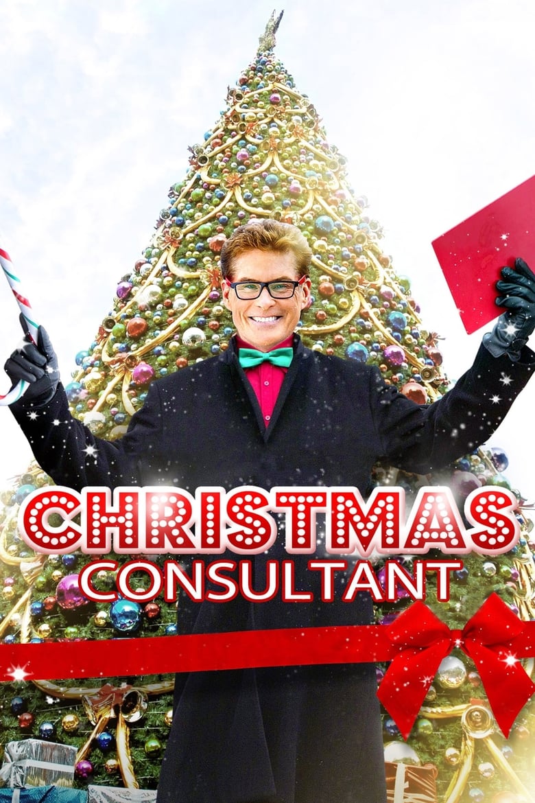 Poster of The Christmas Consultant