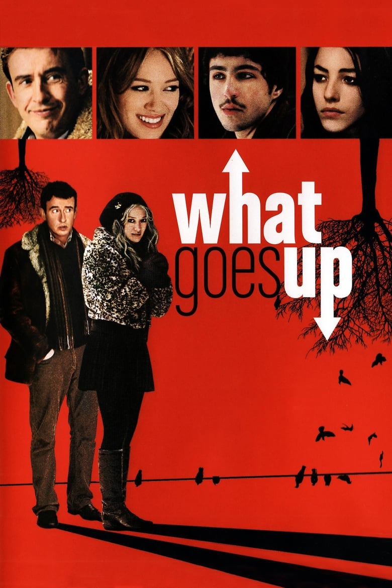 Poster of What Goes Up