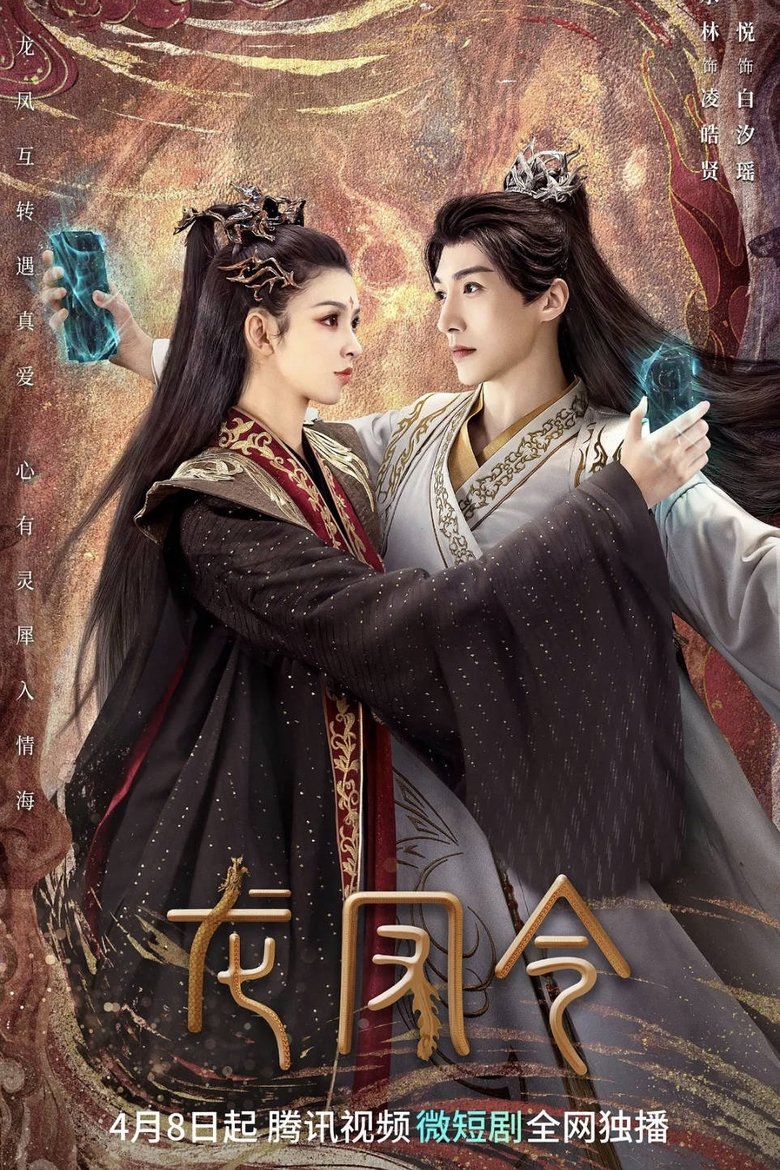 Poster of 龙凤令