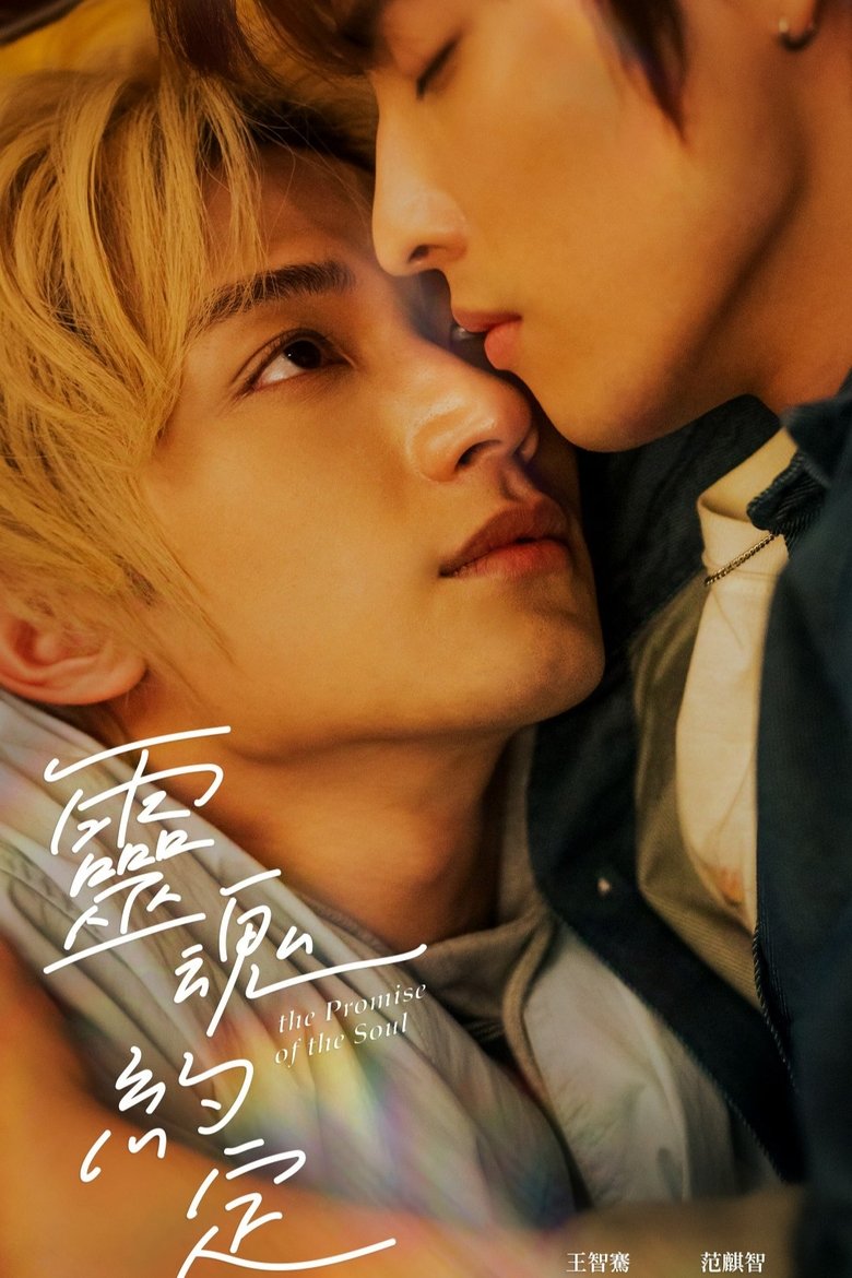 Poster of The Promise of the Soul
