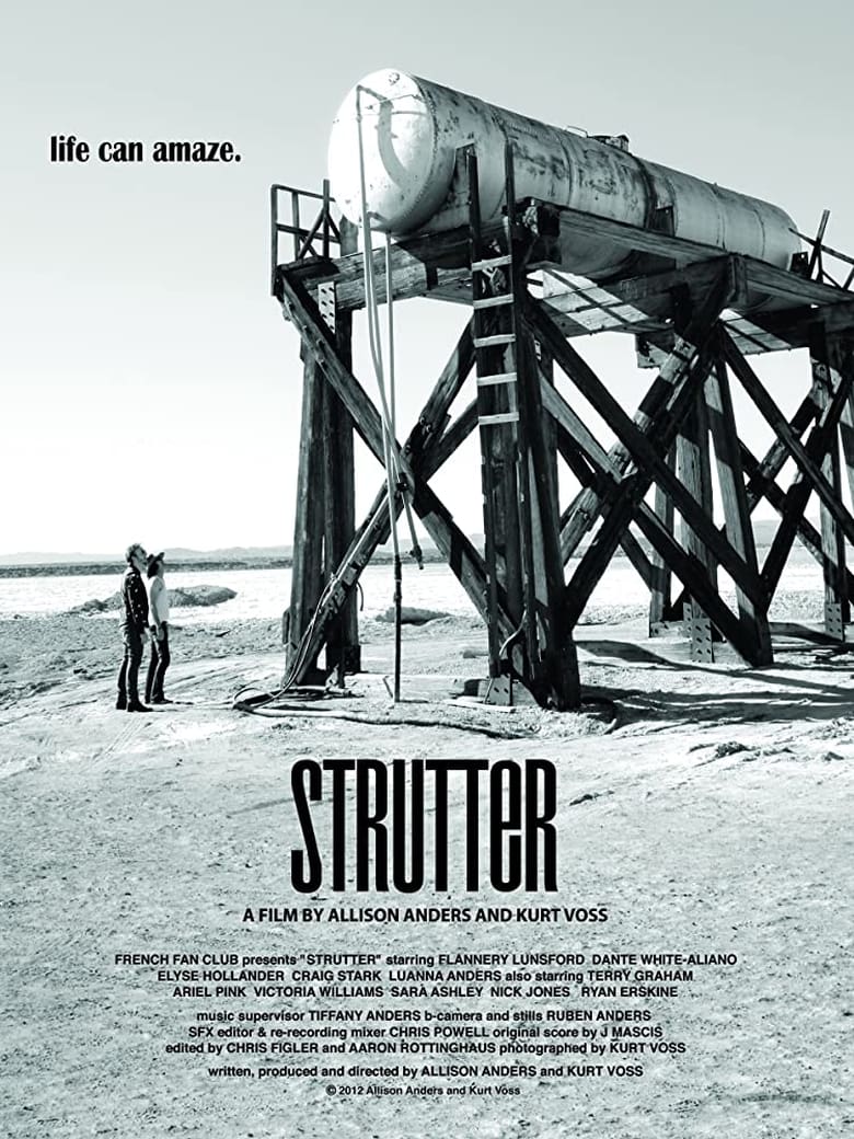 Poster of Strutter