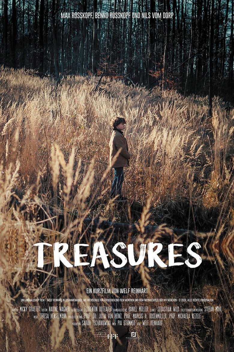 Poster of Treasures