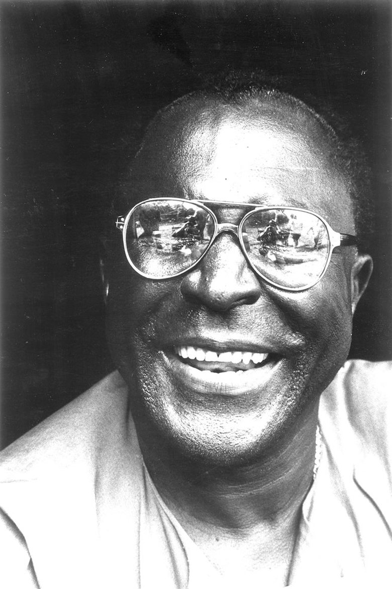 Portrait of Sonny Terry