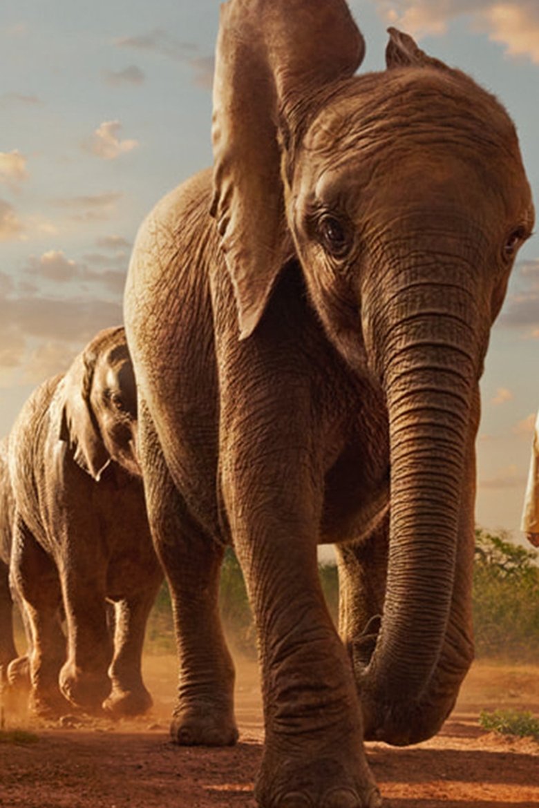 Poster of Wild Life - Elephants
