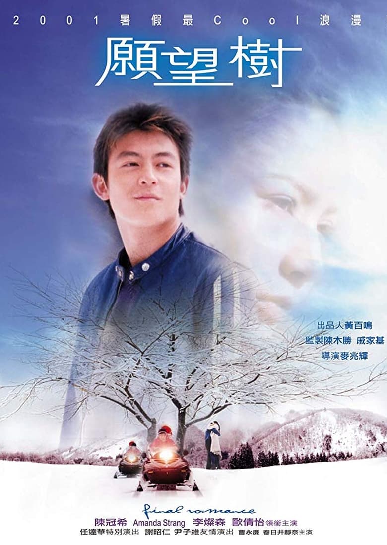 Poster of Final Romance