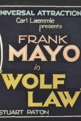 Poster of Wolf Law