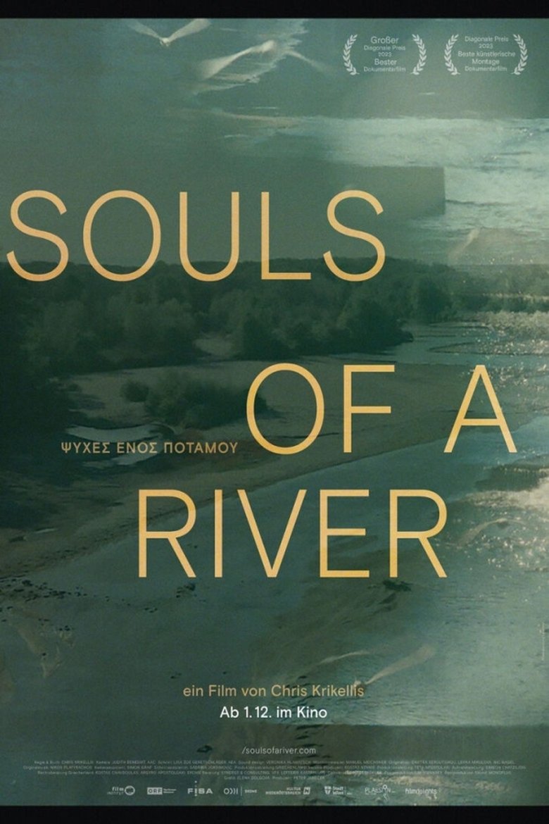 Poster of Souls of a River