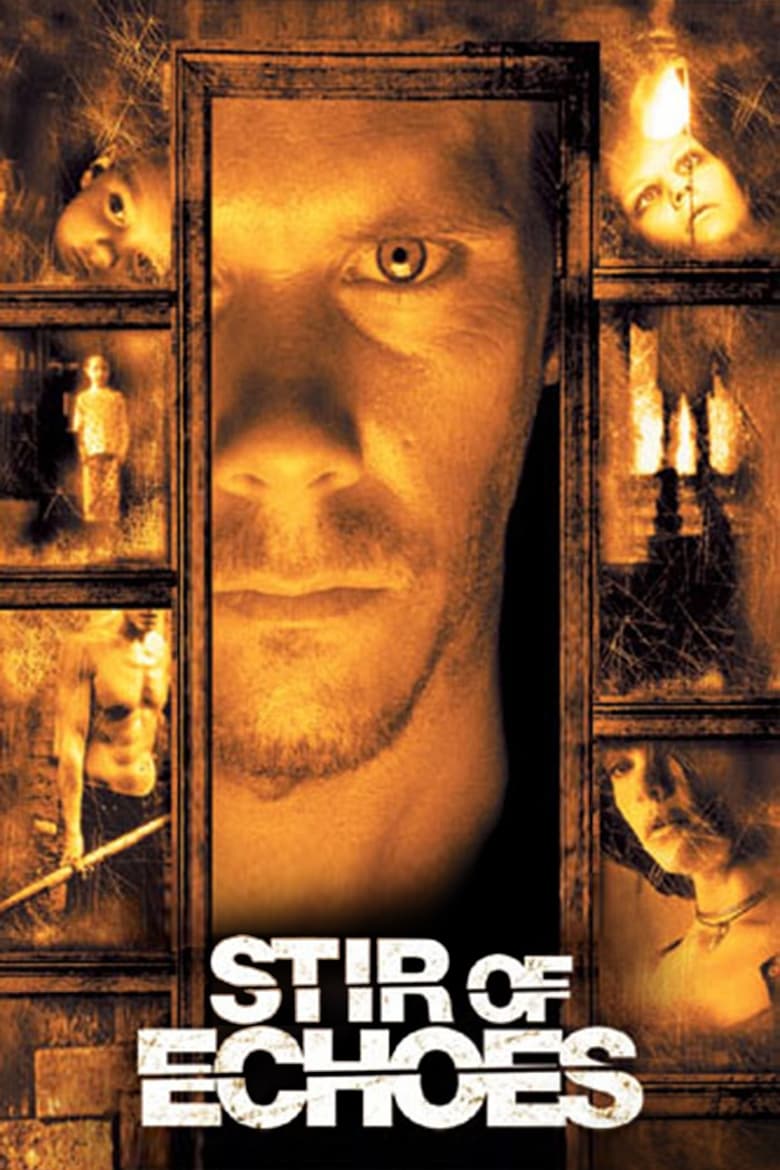 Poster of Stir of Echoes