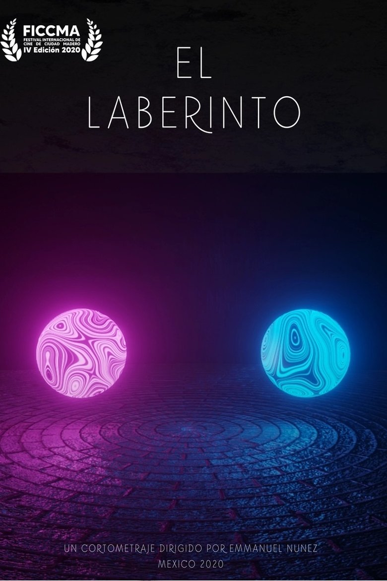 Poster of The Labyrinth