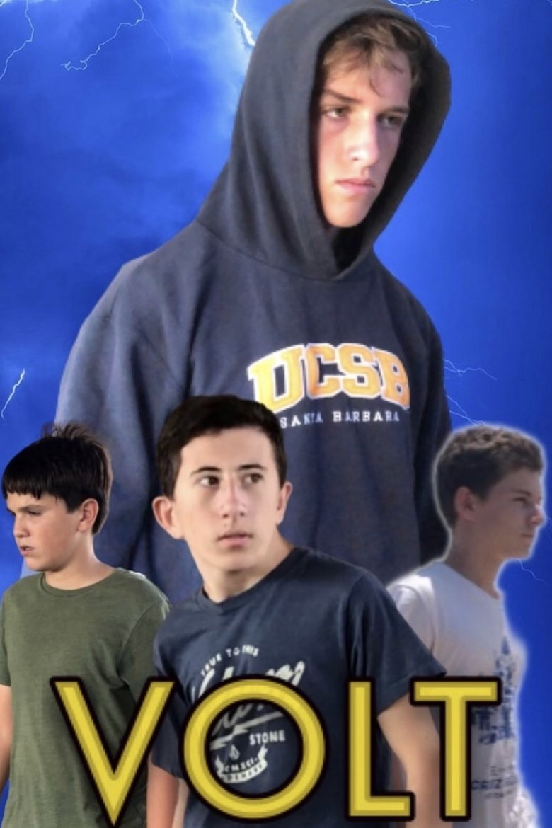 Poster of Volt